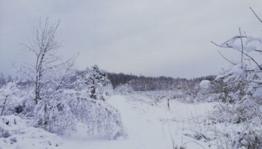 Zdjęcie dla galerii Zima w Gminie Baranów Sandomierski