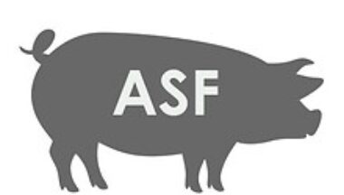 Zdjęcie dla artykułu Komunikat Starostwa Powiatowego