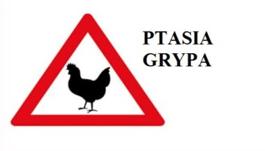 Zdjęcie dla artykułu Inspekcja Weterynaryjna informuje!