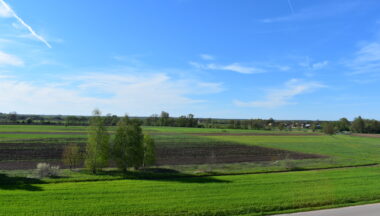 Zdjęcie dla artykułu ,,Cudze chwalicie, swego nie znacie…’’