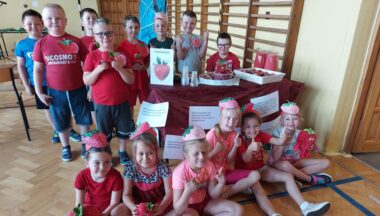 Zdjęcie dla artykułu Piknik Zdrowia w Szkole w Ślęzakach