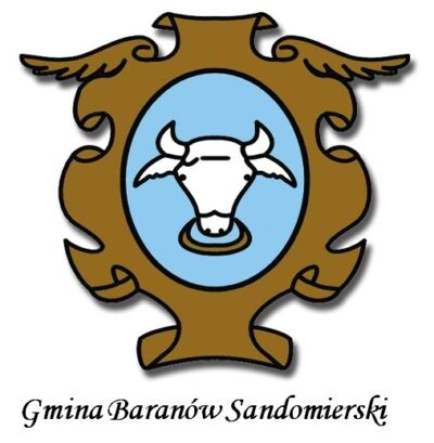 Ikona Wybory uzupełniające do RM