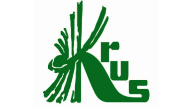 Zdjęcie dla artykułu Emerytury rolnicze bez przekazywania gospodarstwa! Rolniku sprawdź jakie wprowadzono zmiany!