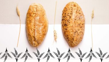 Zdjęcie dla artykułu Dożynki Gminne 2022! Przyjdź na Gminne Święto Plonów!