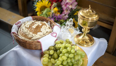 Zdjęcie dla artykułu Gminne Święto Plonów – Skopanie Osiedle 2022!