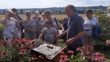 Zdjęcie dla artykułu UTW realizuje projekt „Od  kwiatka do ula – z pszczołą senior żyje zdrowo”!