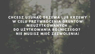Zdjęcie dla artykułu Chcesz usunąć drzewa lub krzewy w celu przywrócenia gruntów nieużytkowanych do użytkowania rolniczego? Nie musisz mieć zezwolenia!