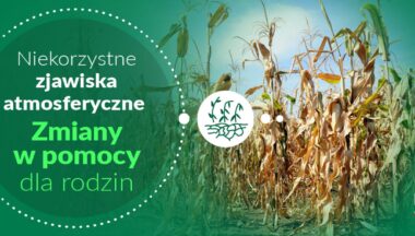 Zdjęcie dla artykułu Wsparcie finansowe z tytułu szkód spowodowanych niekorzystnymi zjawiskami atmosferycznymi. Wydłużony termin składania wniosków!
