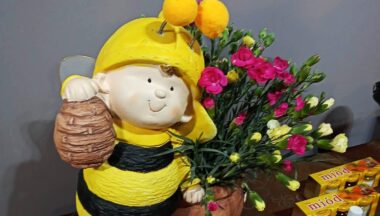 Zdjęcie dla artykułu Uniwersytet Trzeciego Wieku podsumował projekt „Od  kwiatka do ula – z pszczołą senior żyje zdrowo”!