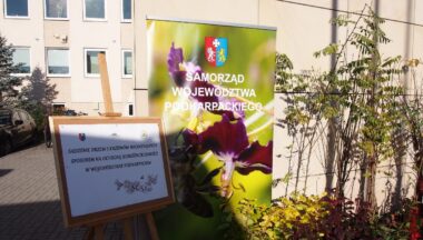 Zdjęcie dla artykułu Drzewa miododajne w naszej Gminie!