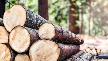 Zdjęcie dla artykułu Zawiadomienie o przetargu