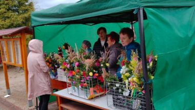 Zdjęcie dla artykułu Charytatywny kiermasz zorganizowany przez KGW ,,Dąbrowianki” w Dąbrowicy!