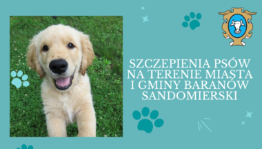 Zdjęcie dla artykułu Zadbaj o swojego pupila – Akcja szczepienia psów na terenie Gminy!
