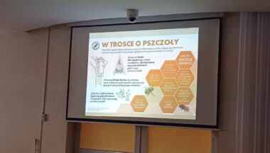 Zdjęcie dla artykułu „Pszczoła to przyjaciel człowieka a nie wróg -więc dbajmy o nie”