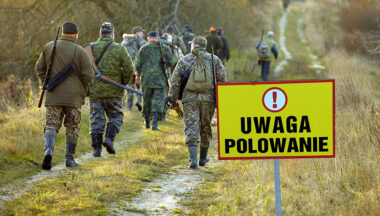 Zdjęcie dla artykułu Plan polowań zbiorowych na terenie Gminy Baranów Sandomierski