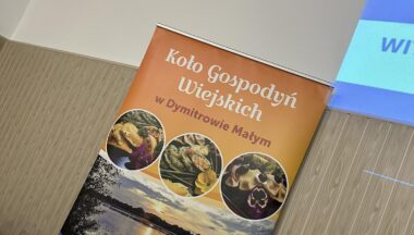 Zdjęcie dla artykułu Sukces Pierwszego Spotkania Kół Gospodyń Wiejskich Gminy Baranów Sandomierski!