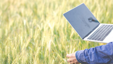 Zdjęcie dla artykułu Nieodpłatna pomoc w wypełnianiu wniosków o płatności bezpośrednie