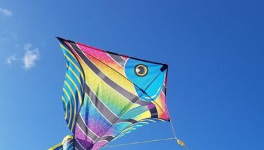 Zdjęcie dla artykułu Gminny Dzień Dziecka w Baranowie Sandomierskim!