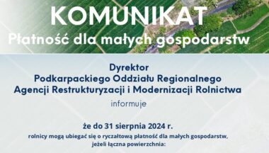 Zdjęcie dla artykułu Płatność dla małych gospodarstw