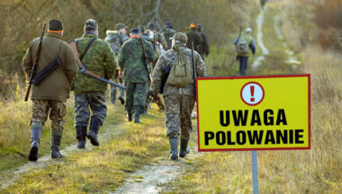 Zdjęcie dla artykułu Plan polowań zbiorowych na terenie Gminy Baranów Sandomierski