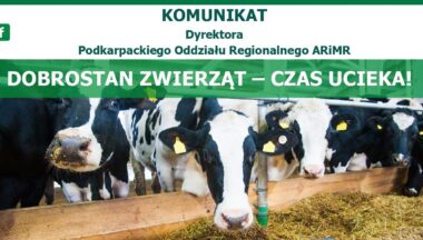 Zdjęcie dla artykułu Ważna data dla ubiegających się o dopłaty do dobrostanu!