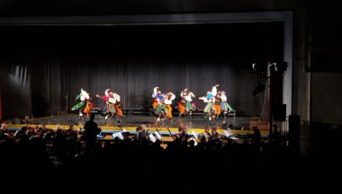 Zdjęcie dla artykułu Wyjątkowy wyjazd Kół Gospodyń Wiejskich na koncert Zespołu Pieśni i Tańca „Śląsk”