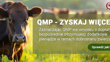 Zdjęcie dla artykułu Ekoschemat „Dobrostan zwierząt”. Dodatkowe pieniądze dla hodowców bydła z QMP – tylko do 16 czerwca!