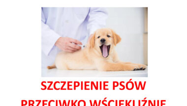 Zdjęcie dla artykułu Szczepienie psów – Dymitrów Duzy, Dymitrów Mały, Siedleszczany, Suchorzów, Skopanie, Skopanie Osiedle, Baranów Sandomierski i Marki