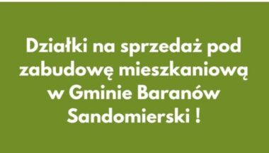 Zdjęcie dla artykułu Przetargi na sprzedaż nieruchomości gruntowych pod zabudowę mieszkaniową