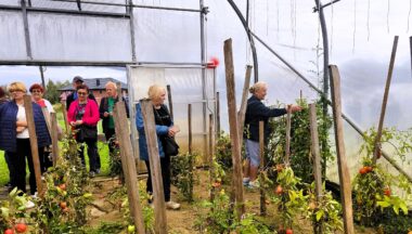 Zdjęcie dla artykułu Z naturą za pan brat – promocja zdrowej żywności i ekologicznych upraw