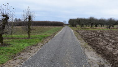 Zdjęcie dla artykułu Pierwsza część modernizacji dróg zakończona!