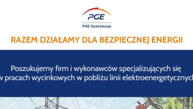 Zdjęcie dla artykułu Wycinka zadrzewienia w pobliżu linii elektroenergetycznych