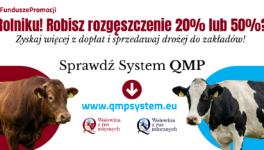 Zdjęcie dla artykułu Ekoschemat „Dobrostan zwierząt” Dodatkowe pieniądze dla hodowców z QMP – tylko do 15 maja!