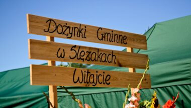 Zdjęcie dla galerii Dożynki Gminne w Ślęzakach- zdj. K. Młyniec