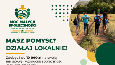 Zdjęcie dla artykułu Do 10 000 zł na lokalne inicjatywy na Podkarpaciu